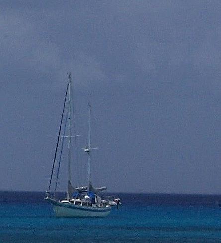 Copy of 100_0831.jpg